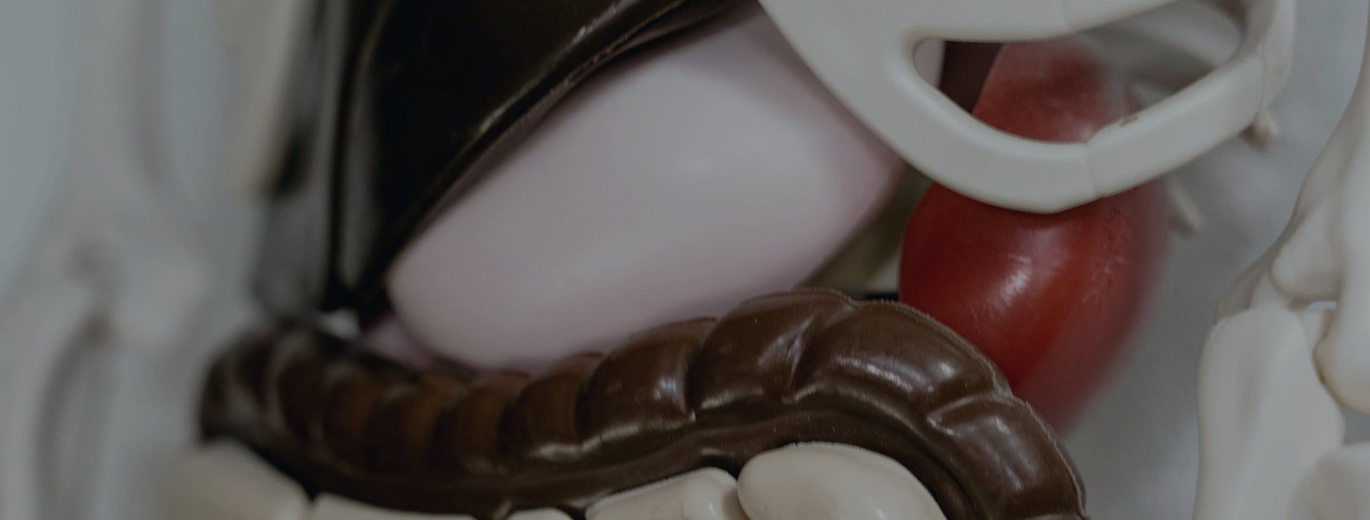 Cirugía gastrointestinal en Tijuana — Dr. Ari Salvador Salgado Rodríguez